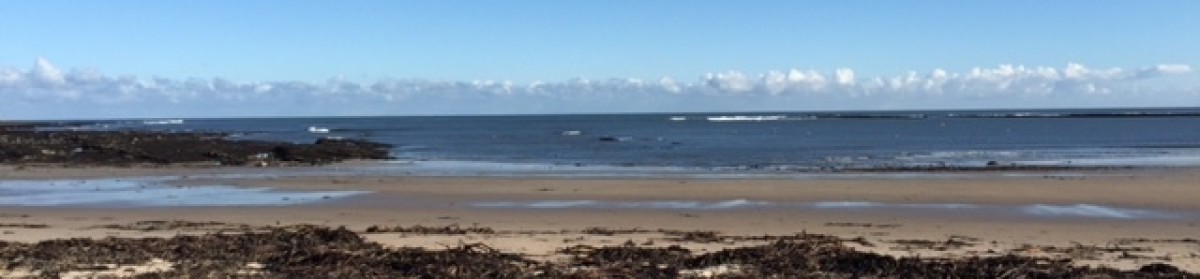 Sandilands Associates – Governance & Engagement